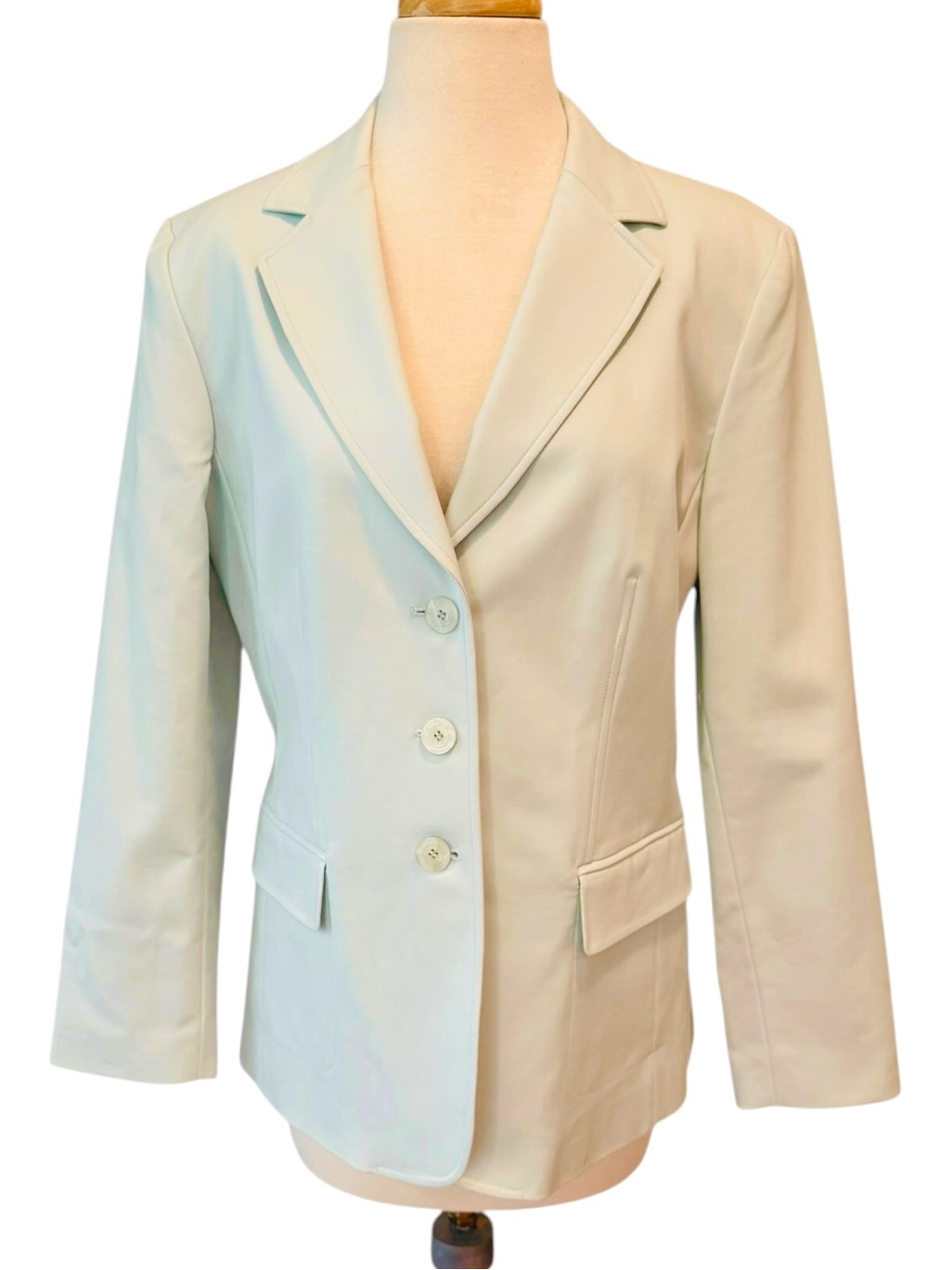 Talbots Petites Stretch Blazer Jacket Light Mint Green Size 12 Nwt